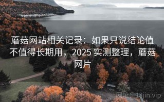 蘑菇网站相关记录：如果只说结论值不值得长期用，2025 实测整理，蘑菇网片
