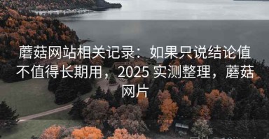 蘑菇网站相关记录：如果只说结论值不值得长期用，2025 实测整理，蘑菇网片