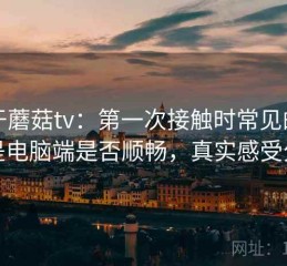 关于蘑菇tv：第一次接触时常见的问题是电脑端是否顺畅，真实感受分享