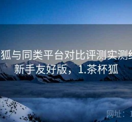 茶杯狐与同类平台对比评测实测结果：新手友好版，1.茶杯狐
