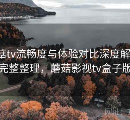蘑菇tv流畅度与体验对比深度解析：完整整理，蘑菇影视tv盒子版