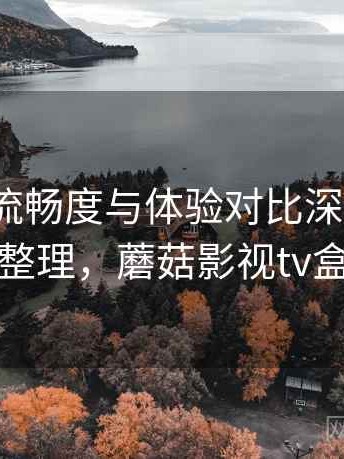 蘑菇tv流畅度与体验对比深度解析：完整整理，蘑菇影视tv盒子版