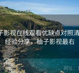 柚子影视在线观看优缺点对照清单：经验分享，柚子影视最右