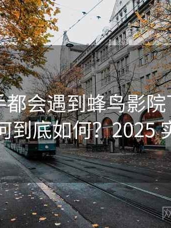 不少新手都会遇到蜂鸟影院下载搜索效率如何到底如何？2025 实测整理