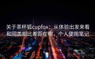 关于茶杯狐cupfox：从体验出发来看和同类相比差距在哪，个人使用笔记