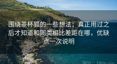 围绕茶杯狐的一些想法：真正用过之后才知道和同类相比差距在哪，优缺点一次说明
