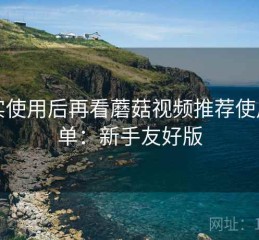 真实使用后再看蘑菇视频推荐使用清单：新手友好版