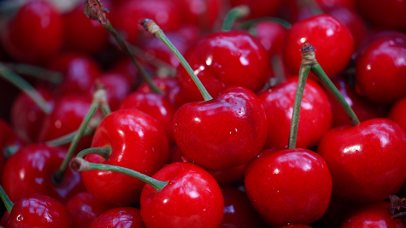 樱桃视频防走失应急通道｜樱桃影视官网入口备份页