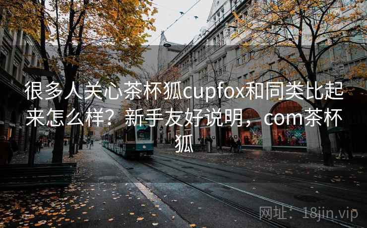 很多人关心茶杯狐cupfox和同类比起来怎么样？新手友好说明，com茶杯狐
