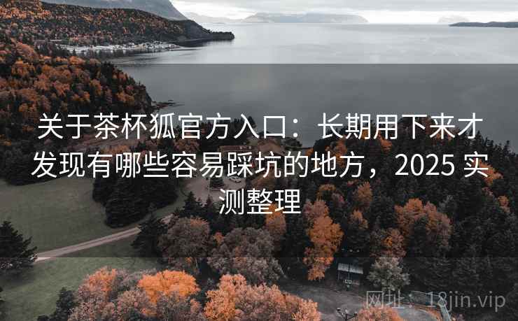 关于茶杯狐官方入口:长期用下来才发现有哪些容易踩坑的地方,2025 实测整理 关于茶杯狐官方入口:长期用下来才发现有哪些容易踩坑的地方,2025 实测整理