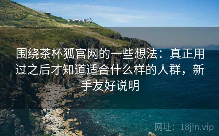 围绕茶杯狐官网的一些想法：真正用过之后才知道适合什么样的人群，新手友好说明