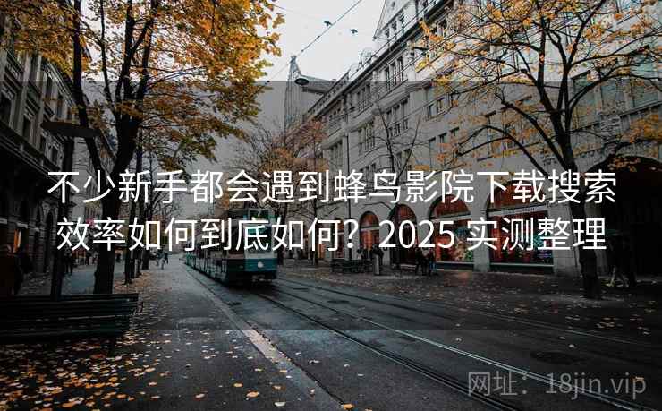 不少新手都会遇到蜂鸟影院下载搜索效率如何到底如何？2025 实测整理