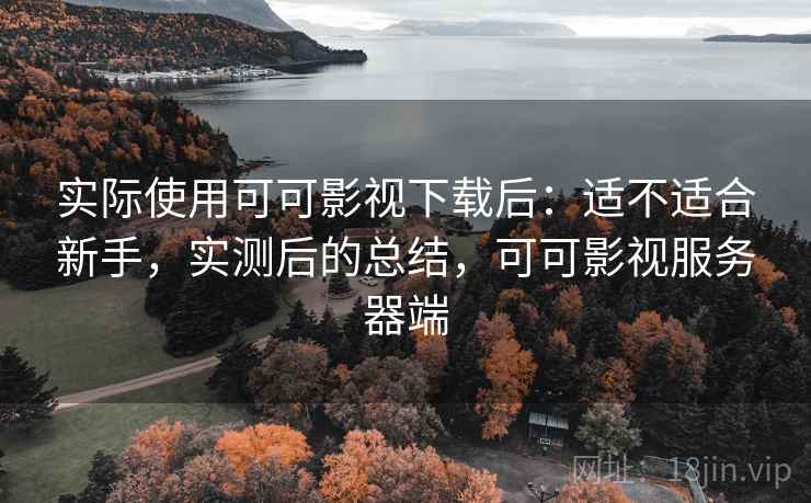 实际使用可可影视下载后:适不适合新手,实测后的总结,可可影视服务器端 实际使用可可影视下载后:适不适合新手,实测后的总结,可可影视服务器端